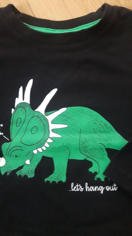Dinosaurus, primark,92