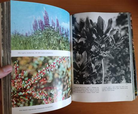 Veľky obrazový atlas rastlín (1980), 