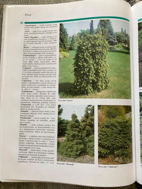 Všetko o ihličnanoch (2001),