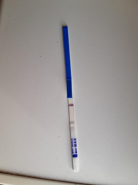 Vidíte niečo na teste?