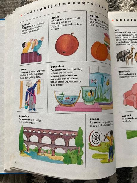 Children's first dictionary (1990), 