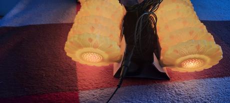 Svietiace slnecnice zn. eduscho- reťaz, 