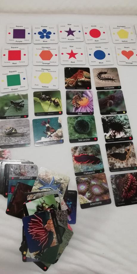 4 sady multifunkčných karticiek - aj, matematika,, 