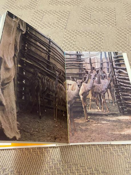 Krásna kniha o afrike safari pod kilimandžárom,