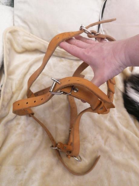 Koženy popruh na záprah pre psa, 