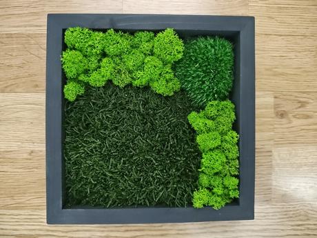 Machový obraz / kus lesa, ktorý nikdy nezvädne, 