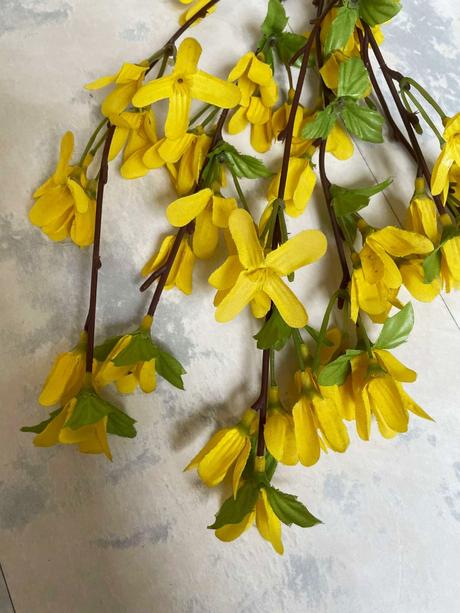 Kytička zlatý dážď, 