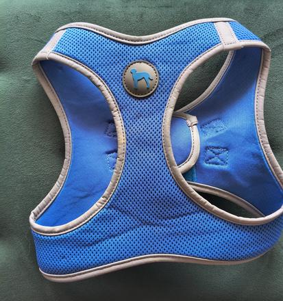 Dog fantasy postroj puppy xl 53-58cm,