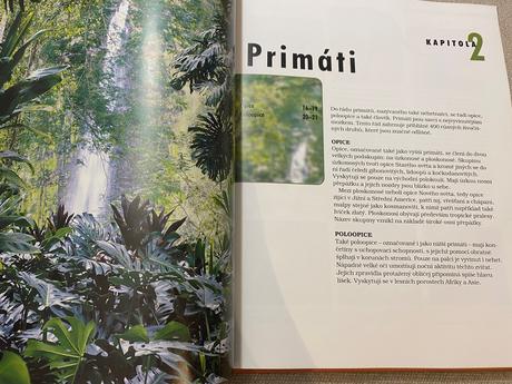 Savci vědomosti v kostce anatomie chování oblasti, 