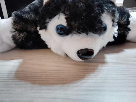 Plyšové vankúšiky psíky, 