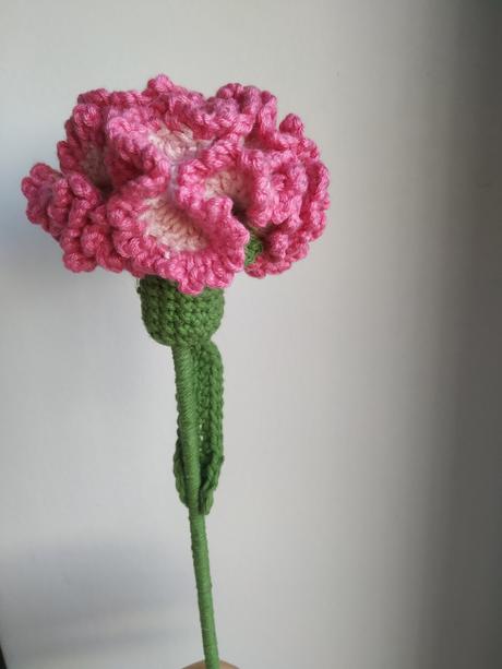 Háčkovany klinček, 