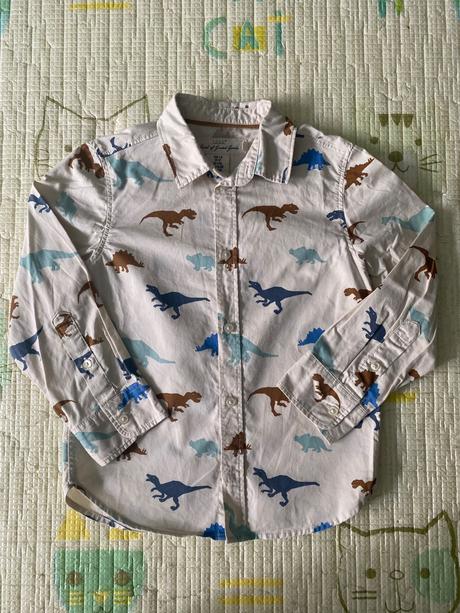 Kosela s dinosaurami, h&m,110