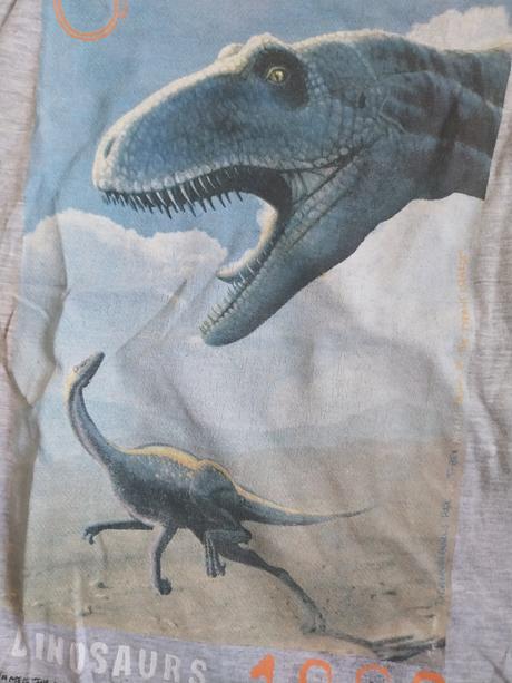 Tričko dino, h&m,122