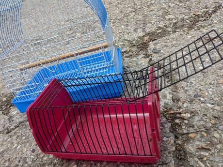 Darujem klietku pre vtáčika, 