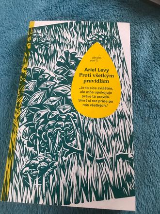 Proti všetkým pravidlám, ariel levy,