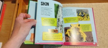 Izzi howel - factcat - amphibians,