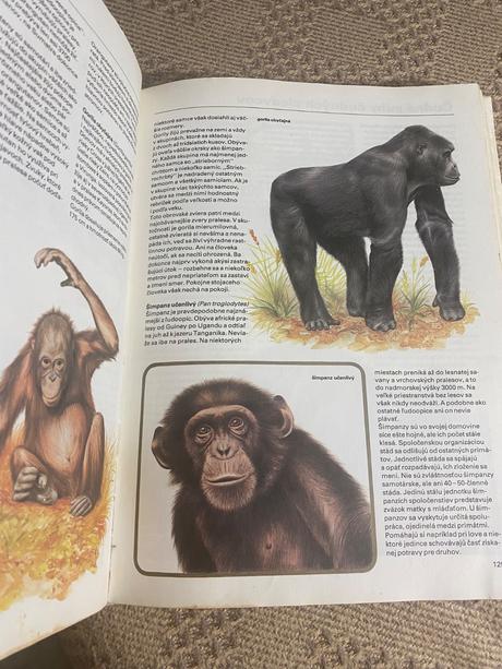 Pestrá príroda luděk j. luděk jindřich dobroruka,,