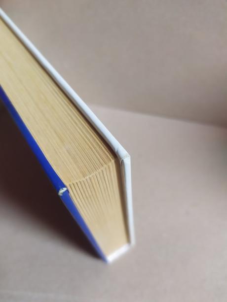 Väzeň mojej túžby, johanna lindseyová,