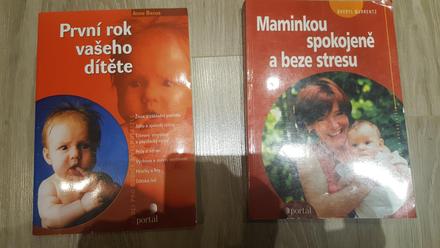 Knihy o materstve, 