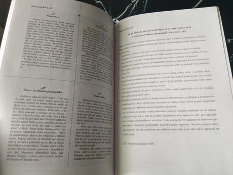 V najlepšom záujme dieťaťa, 
