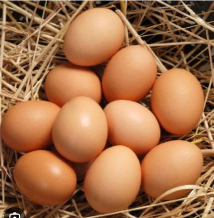 Domáce vajíčka,