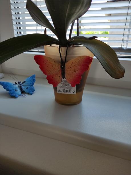 Dekorácia na kvetináč, 