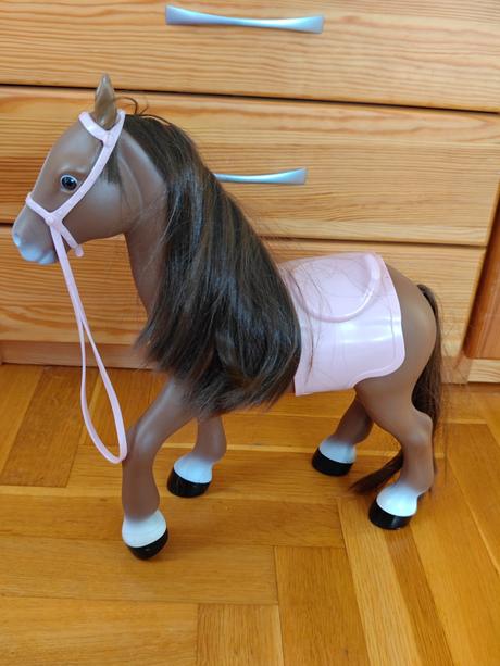 Konik,