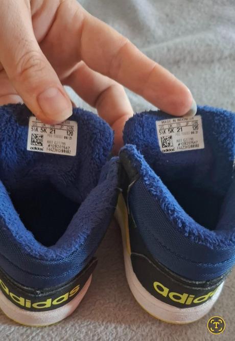 Adidas hoops, adidas,21