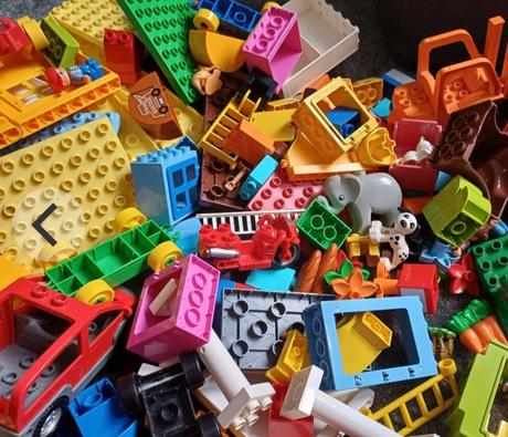 Lego duplo asi 10 sad, 