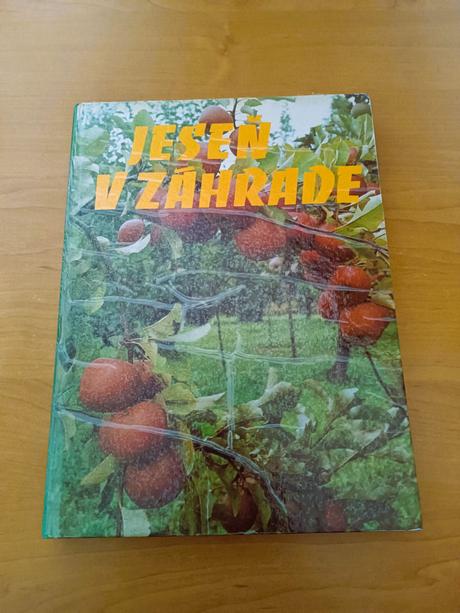 Jeseň v záhrade (1982), 