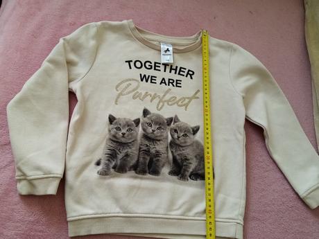 Mikina mačky 122, c&a,122