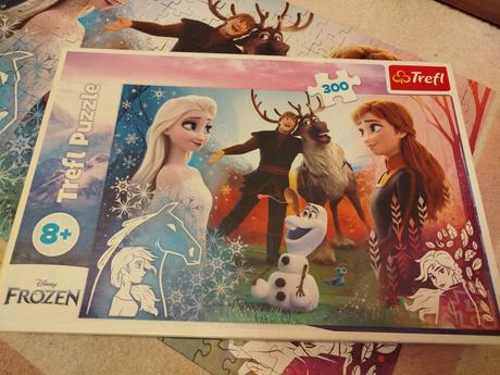 Puzzle frozen,
