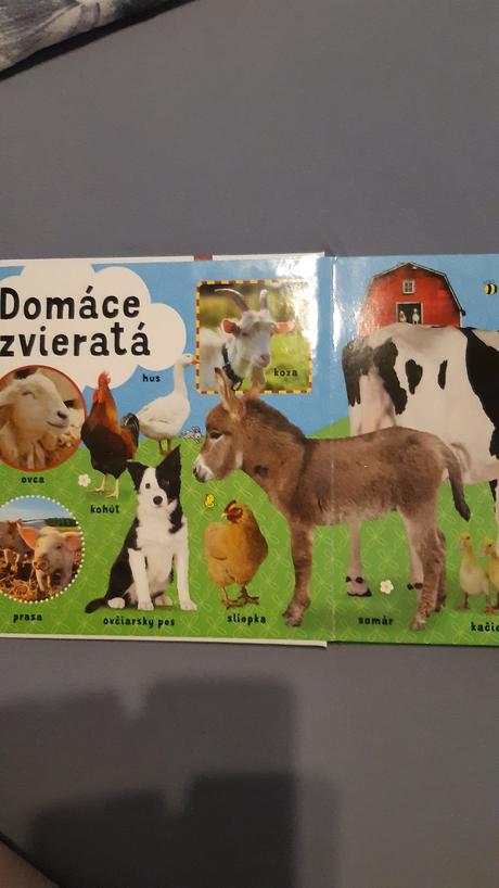Kniha o zvieratkach, 