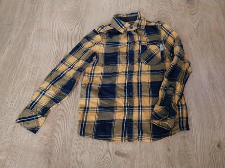 Košela, palomino,128