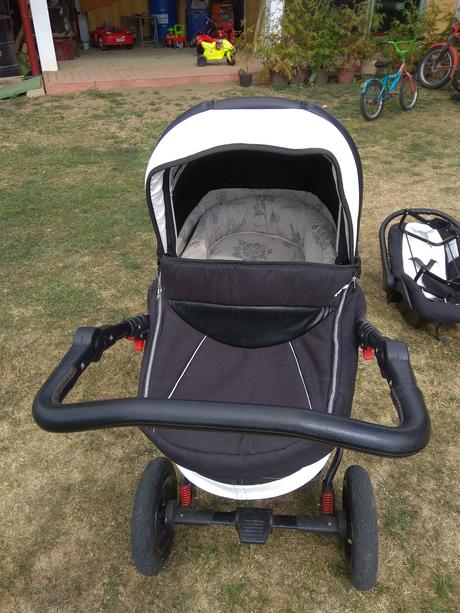 Kočík buterfly, dorjan,dorjan danny sport prestige