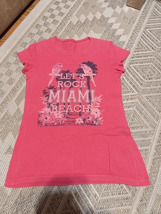 Tričko s papagájmi, 170