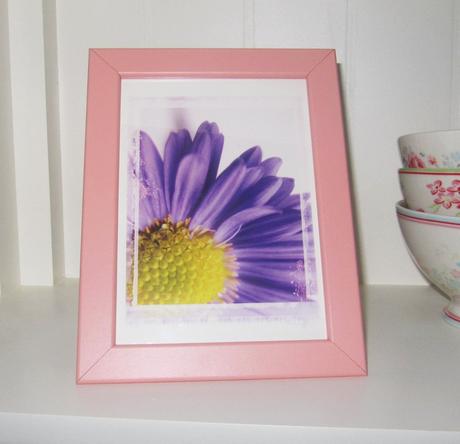 Obraz - fialový kvet,