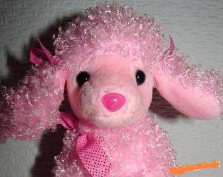 Rozkošný ružový psík,