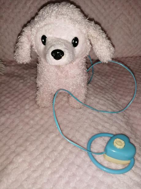 Chodiace šteniatko, 