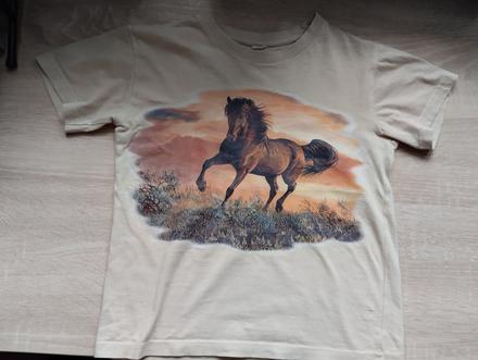 Tričko s koníkom, 134
