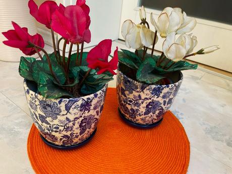 Kvet cyklámen/ sada 2 ks,