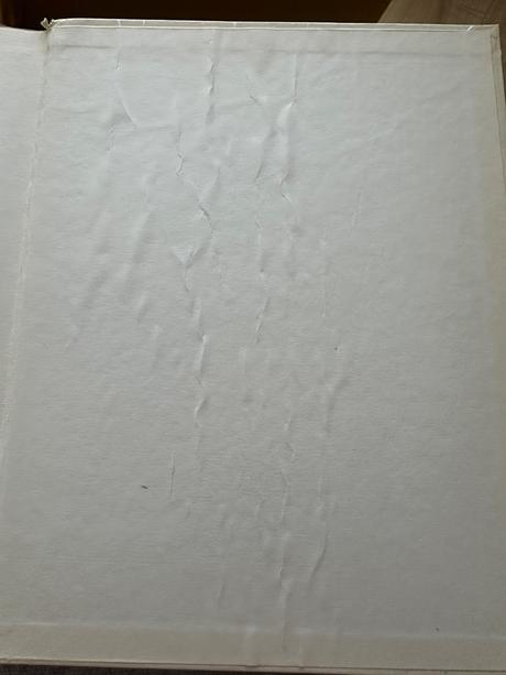 Kohútik hrebenarik, 