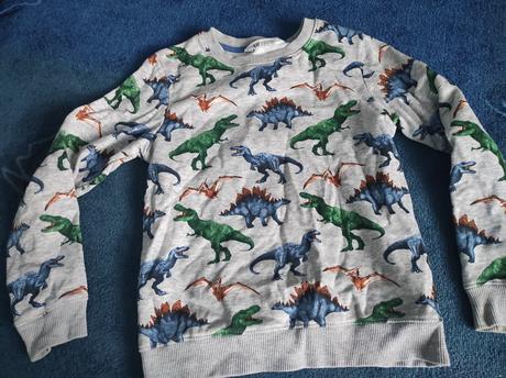 Dino mikinka, h&m,134