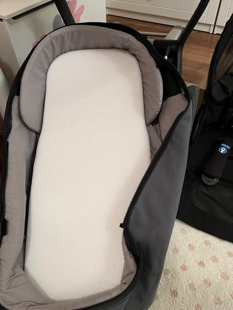 Kocik, joolz,joolz day+