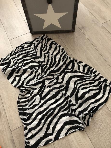 Zebra overal k plavkám,