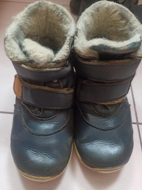 Pegres zimne, pegres,28