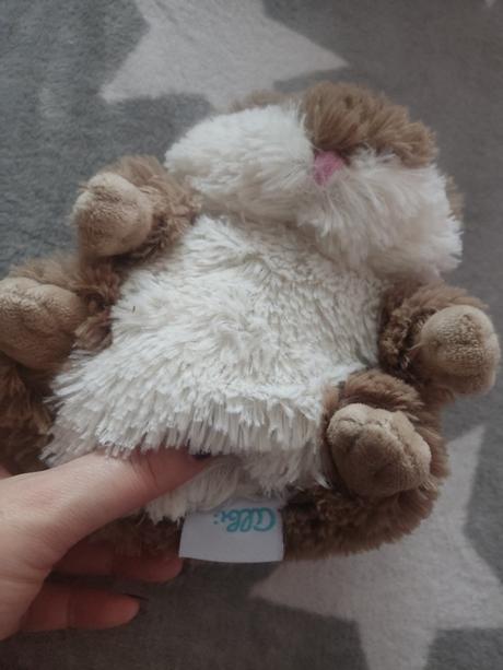 Vankúšik na bolesť brucha, 