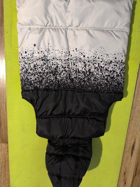 Vesta, chapter young,158