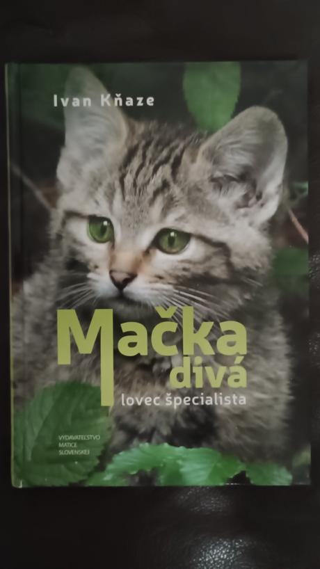 Kniha mačka divá ivan kňaze, 