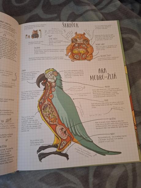 Zvieratá kniha ako darček, 